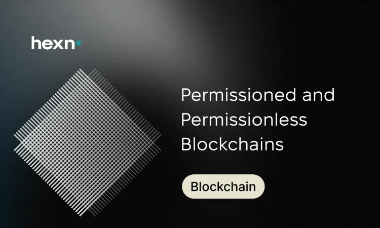 Permissioned and Permissionless Blockchains 