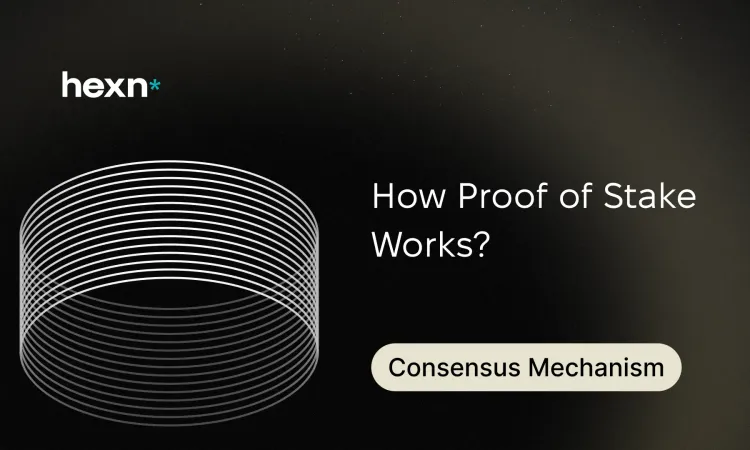 Proof of Stake: Energy, Security, and Staking Basics