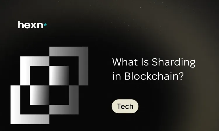What Is Sharding in Blockchain?