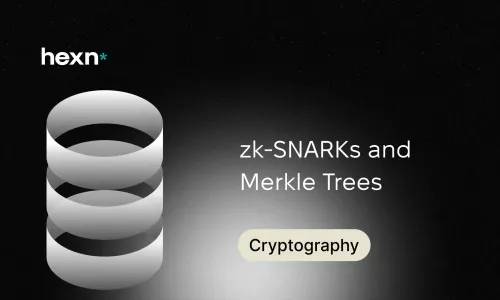 Proof of Reserves with zk-SNARKs and Merkle Trees