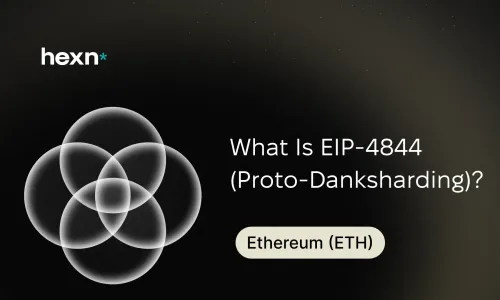 What Is EIP-4844 (Proto-Danksharding)?